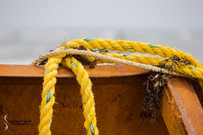 Ropes attached to the boat, perhaps used to tie themselves in if weather and seas got really bad