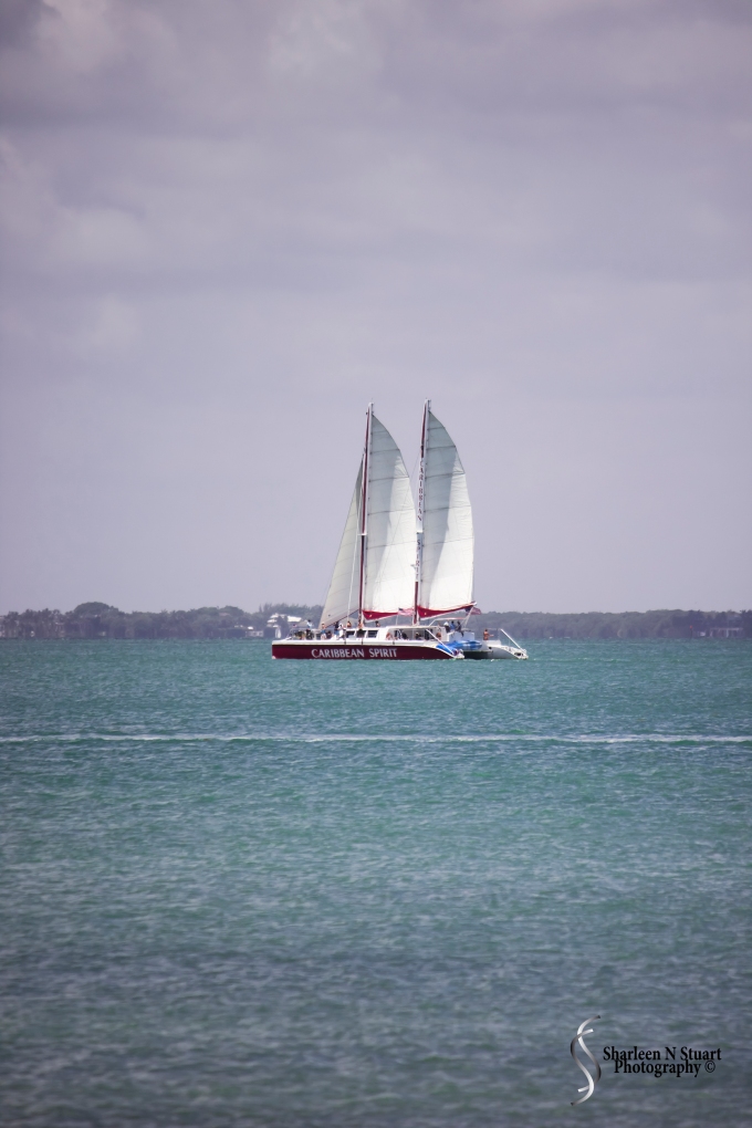Sailing on the Bay of Biscayne.  I wish we were - it was really hot out there that day.