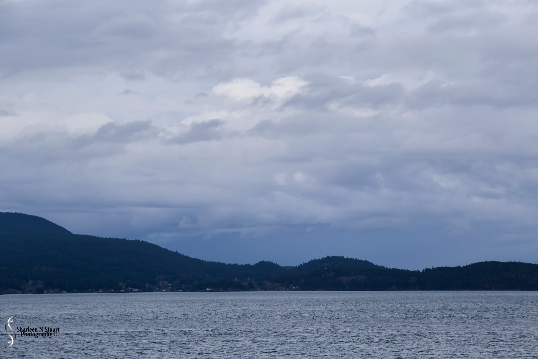 It was with sadness that we left Friday Harbor. I think there was more to see but we did run out of time. Our day was good. A few drops of rain but nothing we could not deal with. Leaving Friday Harbor, the closing day is cloudy and overcast.