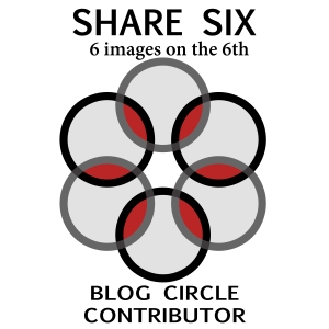 share-six-contributor-badge-1