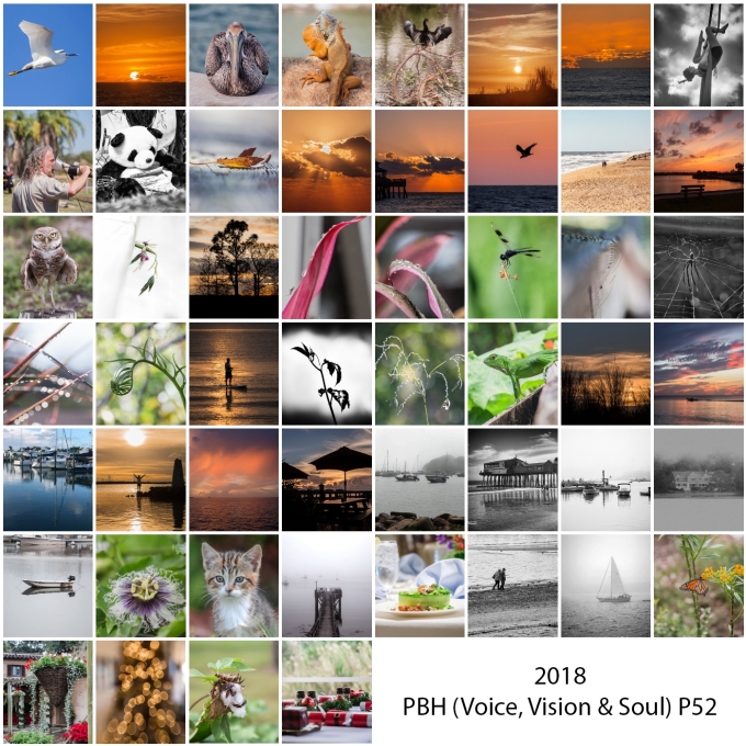 2018 By Heart P52